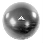 adidas アディダス コア ジムボール 65cm ブラック