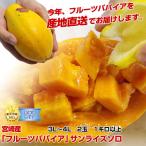  Special A разряд товар прямая поставка от производителя Miyazaki производство папайя фрукты pa пирог a[ Sunrise Solo ]3L~4L 2 шар примерно 1kg и больше 