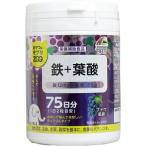 鉄分
