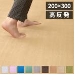 極厚高反発ラグ 200×300cm 極厚25mm 長