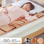 ショッピング電気毛布 sugibou PremiumBoa 電気毛布 敷専用 冬 あったか 暖房 代引不可