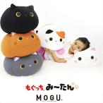 MOGU モグ MOGU もぐっち　みーたん MOGU ビーズクッション モグ