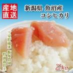 Yahoo! Yahoo!ショッピング(ヤフー ショッピング)米 日本米 特Aランク 産地直送 25年度産 新潟県 魚沼産 コシヒカリ 雪室貯蔵米 飯塚農園 特別栽培米 2Kg こしひかり 精米無料