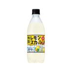 単品24個セット サント