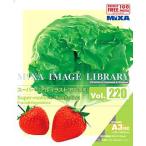MIXA IMAGE LIBRARY Vol.220 スーパーリアルイラスト 野菜・果実 マイザ XAMIL3220