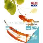 MIXA IMAGE LIBRARY Vol.263 夏模様 マイザ XAMIL3263