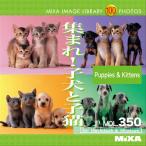 MIXA IMAGE LIBRARY Vol.350 集まれ!子犬と子猫 マイザ XAMIL3350