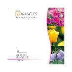 ソースネクスト 匠IMAGES Vol.029 四季の写真素材 花々365日 230900 代引不可