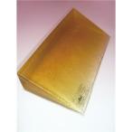 アクションジャパン 入浴備品 特浴用アクションパッド (1)大サイズ(カバー付) #40690 代引不可