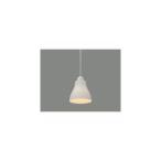 アイリスオーヤマ LEDペンダントライト LED電球セット Lapin ガラス調 Sサイズ クリアホワイト PL5LE17CG1W