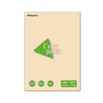 (まとめ) 長門屋商店 Color Paper B4 厚口 アイボリー ナ-2315 1冊（100枚） 〔×10セット〕 代引不可
