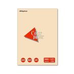(まとめ) 長門屋商店 Color Paper B4 特厚口 アイボリー ナ-2415 1冊（50枚） 〔×30セット〕 代引不可