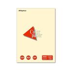 (まとめ) 長門屋商店 Color Paper B4 特厚口 レモン ナ-2402 1冊（50枚） 〔×30セット〕 代引不可