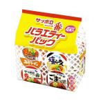 （まとめ）サンヨー食品 サッポロ一番ミニバラエティー 4食×6P（×2セット） 代引不可