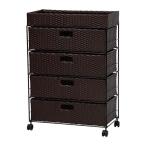 ランドリーラック/洗濯用品 〔ダークブラウン 幅60.5cmタイプ〕 スチールパイプ キャスター付き 〔脱衣所〕 完成品 R2413DBR 代引不可