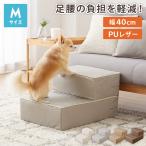 ドッグステップ 階段 Mサイズ 2段 犬用 PVC レザー 小型犬 高齢犬 シニア犬 おしゃれ シンプル ペットステップ スロープ ペットスロープ