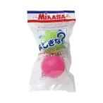 ミカサ MIKASA レジャー用ボール ノーパンクボール 2個入り NPS