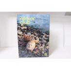 * б/у книга@*Nikon* Nikon Nikkor Club бюллетень 2003 год осень 186 номер!