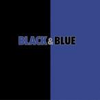 新品 廃盤 送料無料 バックストリート・ボーイズ CD ブラック・アンド・ブルー(期間生産限定盤) PR