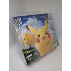 Nintendo Switch ポケモンLets Go! ピカチュウ Lets Go! イーブイ