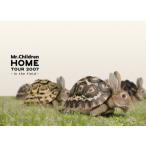 ショッピングmr.children ボーナスストアPlus 10％対象 DVD Mr.Children HOME TOUR 2007 in the field