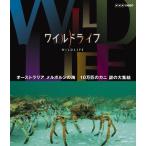 廃盤 ワイルドライフ オーストラリア メルボルンの海 10万匹のカニ 謎の大集結  Blu-ray ブルーレイ PR