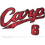 (USED товар / б/у товар ) снят с производства Hiroshima Toyo Carp Carp. Британия сердце 6 высокий качество форма Home (L) PR