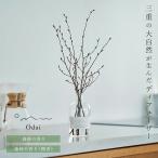 ショッピングアロマディフューザー 【天然成分100%】 Odai オオダイ 天然 リードディフューザーセット イヌシデ ( ディフューザー アロマディフューザー ルームフレグランス 芳香 ギフト )