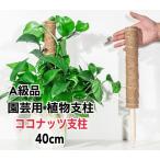  растения фигурная скобка садоводство фигурная скобка кокос фигурная скобка A класса товар 40cm 1 шт. ~ натуральный кокос фигурная скобка декоративное растение монстера pothos ... растения 