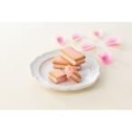 【母の日専用】カーネーション鉢植え「ホットハート」４号と苺きららのセット  6705-20 | 母の日・プレゼント・ギフト・2025