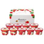 ショッピングお中元 スイーツ 博多あまおうのこだわりアイス  4820-282 | お中元・お歳暮・2025・2026・ギフト・贈り物・お取り寄せグルメ・人気・高級・おすすめ・食品・スイーツ