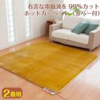 電気ホットカーペット 2畳 カバー付き 電磁波99%カット 電気カーペット ZC-20S 絨毯 ラグ 省エネ 暖房 一人用暖房器具 ゼンケン 電気ホットカーペット 送料無料