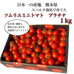 とまと 希少 な 高濃度 フルーツ トマト ソムリエ ミニトマト プラチナ１kg（６０玉から９０玉） プチトマト 熊本 送料無料 甘い