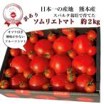 【訳あり】受賞歴３回！ソムリエトマト　２〜３kg(８玉〜１６玉）(3)のオマケ！ソムリエミニトマト　ダイヤ