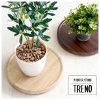 プランター スタンド 鉢 ラック グリーン GREEN 緑 観葉植物 隠しキャスター 棚 木 シンプル アイアン おしゃれ ディスプレイ オフィス リビング 1人暮らし
