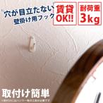 壁掛け フック 穴の目立たない 壁面 壁用 耐荷重3kg 賃貸 新築 ウォールフック 絵 アート 時計 額 写真 細い 細いピン 画びょう 画鋲 穴が小さい 取付け 簡単