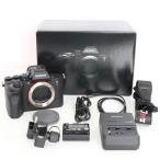 ボーナスストア+5％【美品】SONY α7R V ILCE-7RM5 ボディ ミラーレス一眼カメラ アルファ7R V ソニー 本体