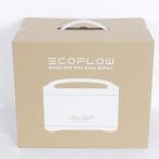 ボーナスストア+5％【新品未開封】EcoFlow RIVER Pro専用 エクストラバッテリー EF4PRO-EB ポータブル電源 EFRIVER600PRO-EB-JP エコフロー 本体