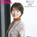  новый продукт внутренний сеть приложен парик ритм Karl Short шляпа парик relax полный парик plisilaBO-07 жаростойкий парик парик медицинская помощь для симпатичный 