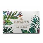 【クーポン】エピエ 乳酸菌の力 20,000(2兆)個 250mg×60粒 乳酸菌 サプリ epier FLORA COLLECTION