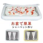 ショッピングアイスクリームメーカー ロールアイスメーカー 電気不要 ロールアイスメーカー 家庭用アイスメーカー ロールアイスクリーム シャーベット アイスプレート アイスクリームメーカー
