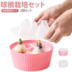 水耕栽培ポット球根栽培セット観葉植...