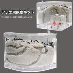 アリの巣　あり観察キット　飼育ケース　砂　自由研究 小学生 あり 蟻 飼育セット 実験セット 観察　夏休み　学習用　おもしろ実験　送料無料