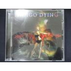 409＃中古CD インディゴ・ダイング /インディゴ・ダイング 【歌詞・対訳付】