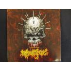 LP/ запись 0029#SKULL PING A TRIBUTE TO GASTUNK/GT006L