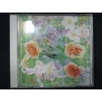 903# б/у CD Newsho хлеб большой нравится 