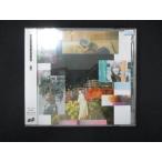 962 в аренду версия CDS пара следы /Little Glee Monster 2745