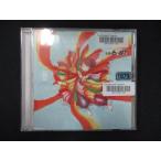 974 в аренду версия CDS Paprika/Foorin team E