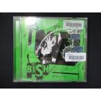 974 в аренду версия CDS../BiSH