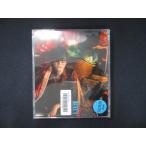 975 в аренду версия CDS I Thai / Suga Shikao 